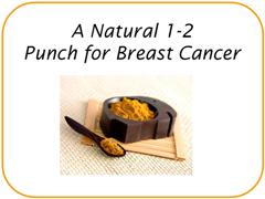 Natural Breast Cancer Treatment