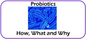 What are probiotics?